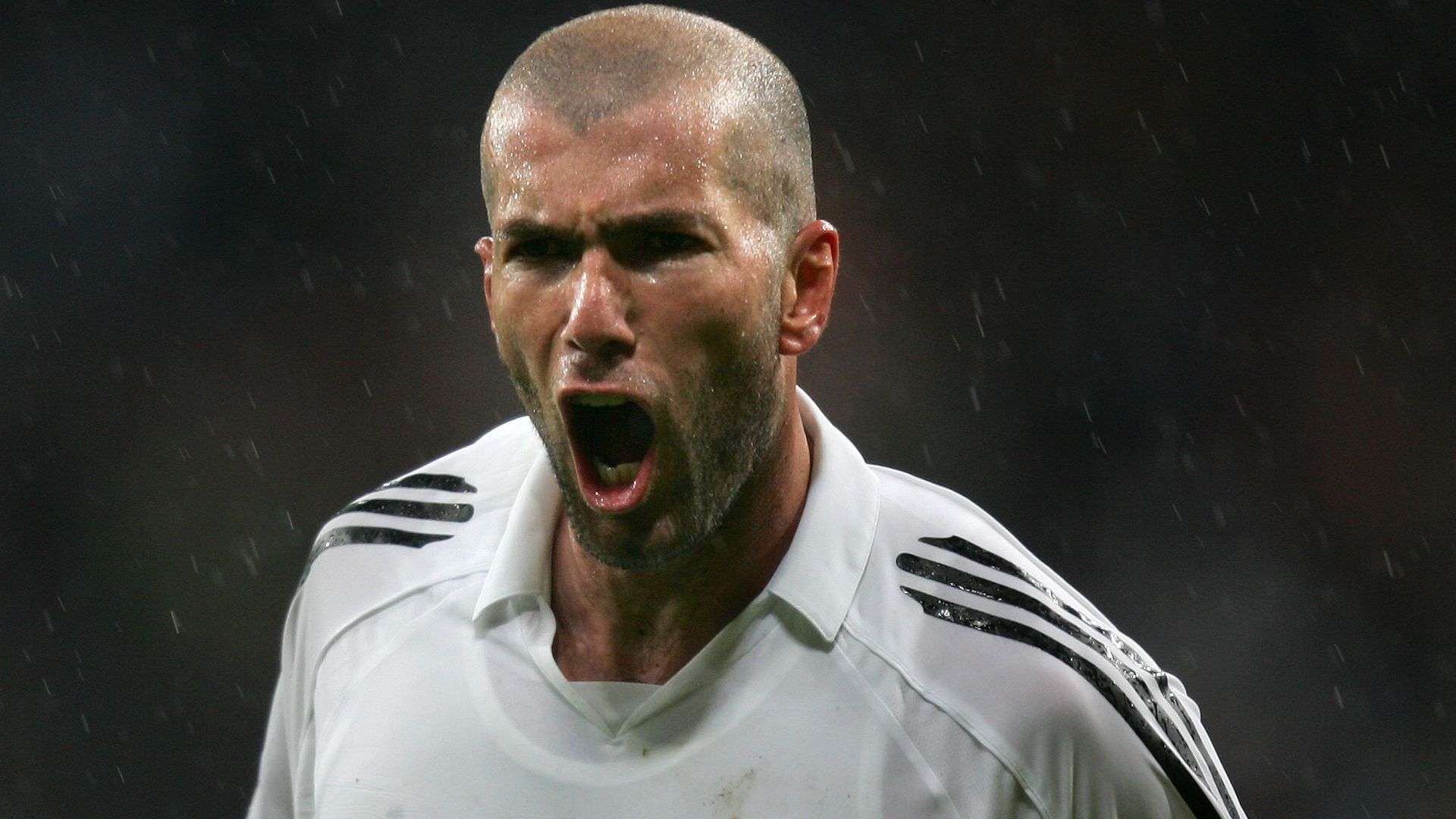 在全面提高 在全面提高