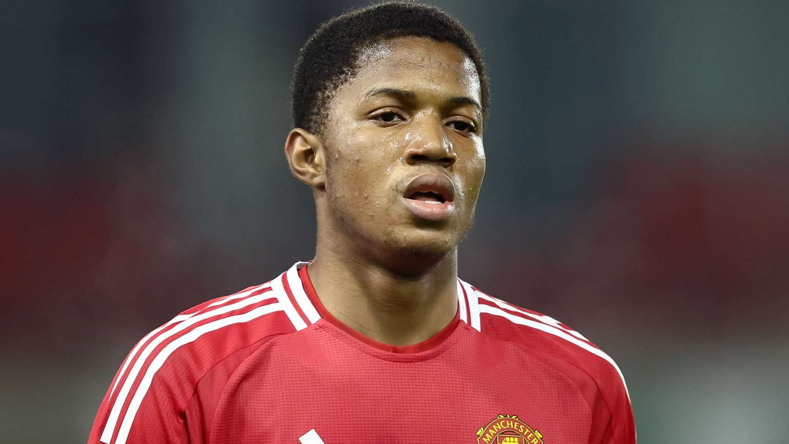 的职业生涯 的职业生涯